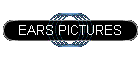 EARS PICTURES
